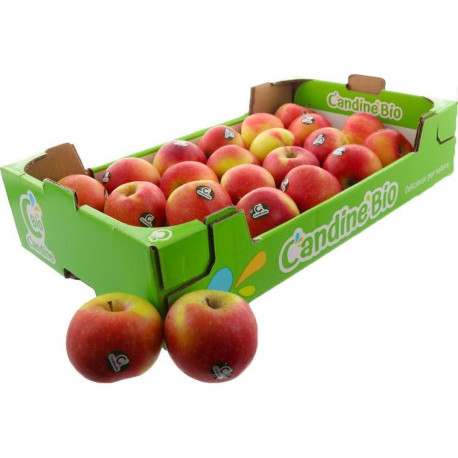 BIO POMME CANDINE LITEE KG